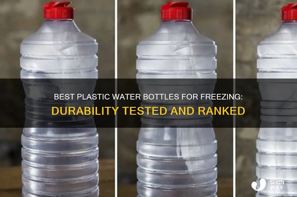 what plastic water bottles hold up best after being frozen