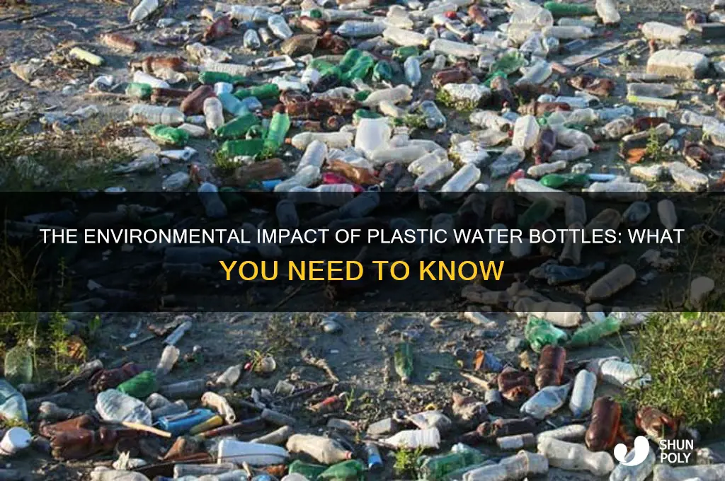 what plastic watter bottles
