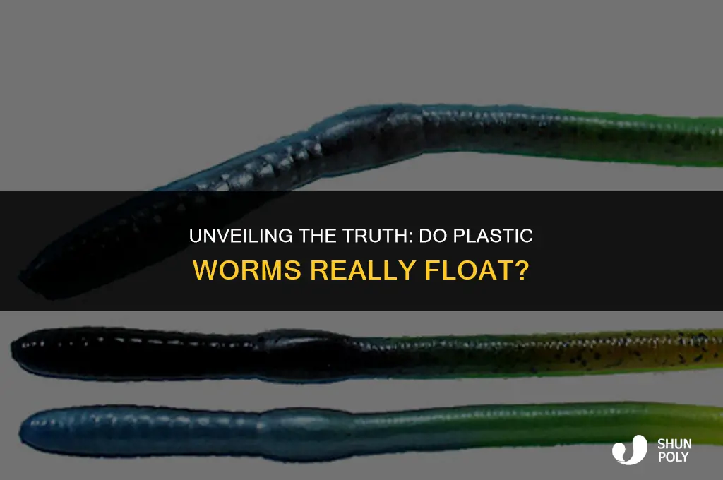 what plastic worms actually float