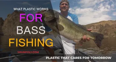 Best Plastic Worms for Bass Fishing