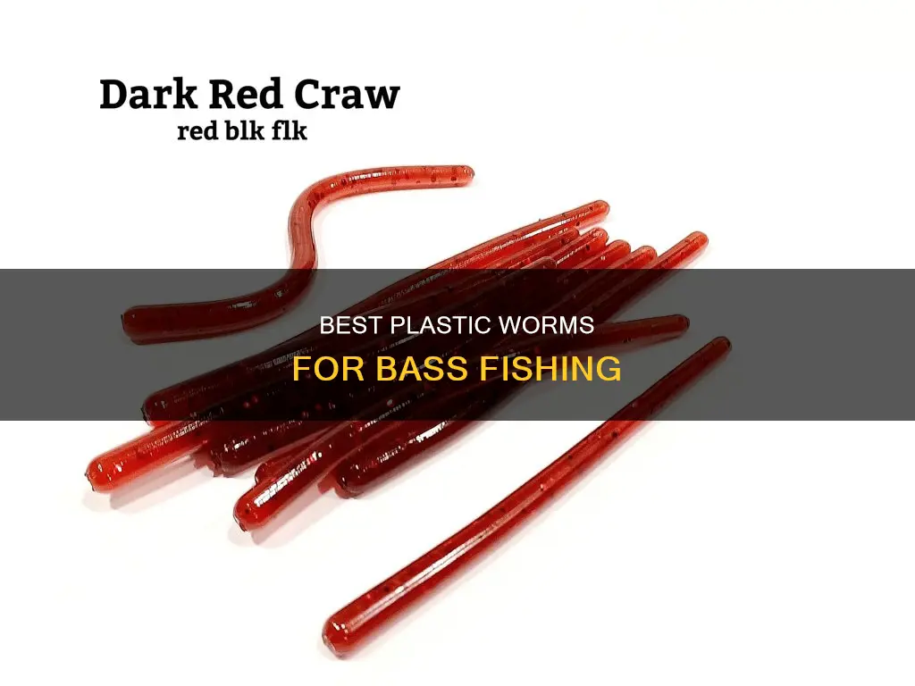 what plastic worms for bass fishing