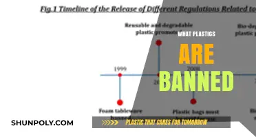 Decoding the Bans: Understanding Restricted Plastics and Their Impact