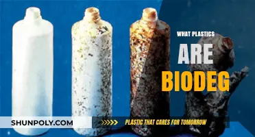 Unveiling Nature's Cleanup Crew: Biodegradable Plastics Explained