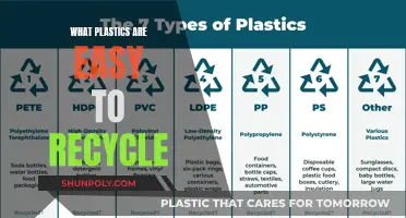 Recycling Plastics: What Types Are the Easiest to Recycle?
