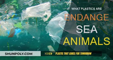 Endangered Sea Animals: Plastic's Deadly Impact