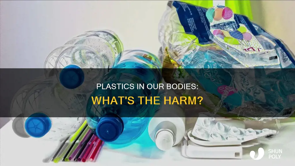 what plastics are found in our bodies