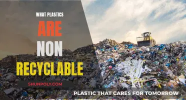 Understanding Non-Recyclable Plastics: What's Not Going Green?