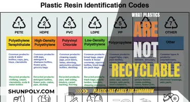 Unraveling the Mystery: What Plastics Can't Be Recycled