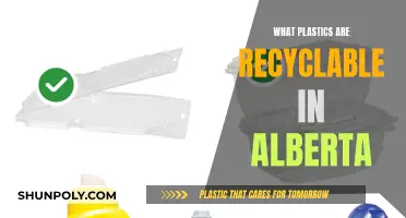 Recycling in Alberta: What Plastics Are Accepted?