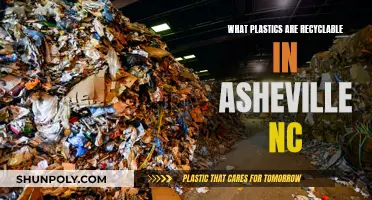 Recycling in Asheville: What Plastics Are Accepted?