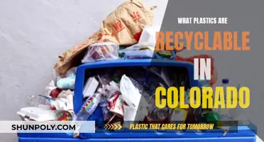 Recycling in Colorado: What Plastics Are Acceptable?