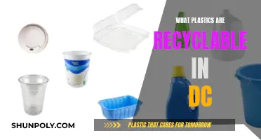 Recycling in DC: What Plastics Are Accepted?