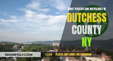 Recycling in Dutchess County: Which Plastics Make the Cut?