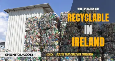 Recycling Plastics in Ireland: What Types Are Accepted?