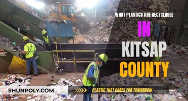 Recycling in Kitsap County: What Plastics Are Accepted?