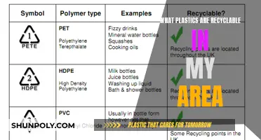 Recycling Plastics: What's Accepted in Your Area?