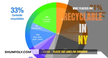 Recycling in NY: What Plastics Make the Cut?