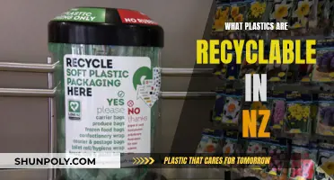Recycling Plastics in NZ: What Types Are Acceptable?