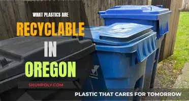 Recycling in Oregon: Which Plastics Are Accepted?