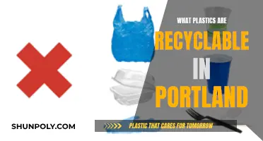 Recycling in Portland: What Plastics Are Acceptable?