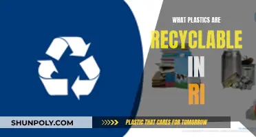 Recycling in RI: What Plastics Are Acceptable?