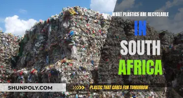 Recycling in South Africa: Which Plastics Make the Cut?