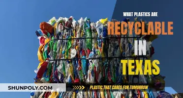 Recycling in Texas: What Plastics Are Accepted?