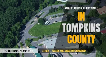 Recycling in Tompkins County: Which Plastics Make the Cut?