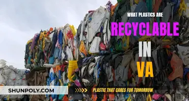Recycling in Virginia: Which Plastics Are Accepted?