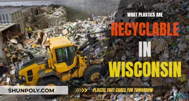Recycling in Wisconsin: Which Plastics Are Accepted?