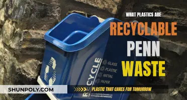 Recycling Plastics: What Penn Waste Allows and Why