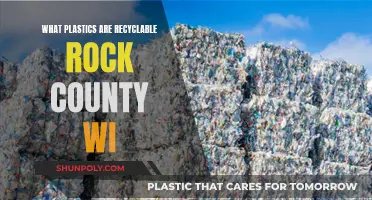 Recycling Plastics: What's Accepted in Rock County, WI?