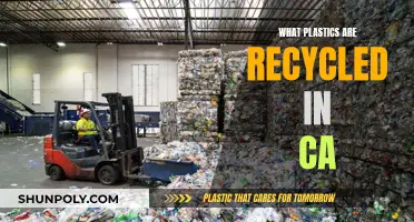 California's Plastic Recycling: What Types Are Accepted?