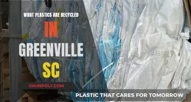 Greenville, SC: Which Plastics Are Actually Being Recycled?