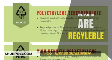 Decoding Recyclable Plastics: A Comprehensive Guide for Eco-Conscious Living