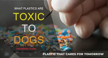 Toxic Plastics: What Dog Owners Need to Know