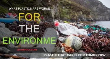 Plastics: The Worst Offenders Hurting Our Environment