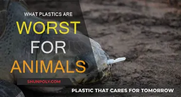 Plastics That Are Most Harmful to Animals