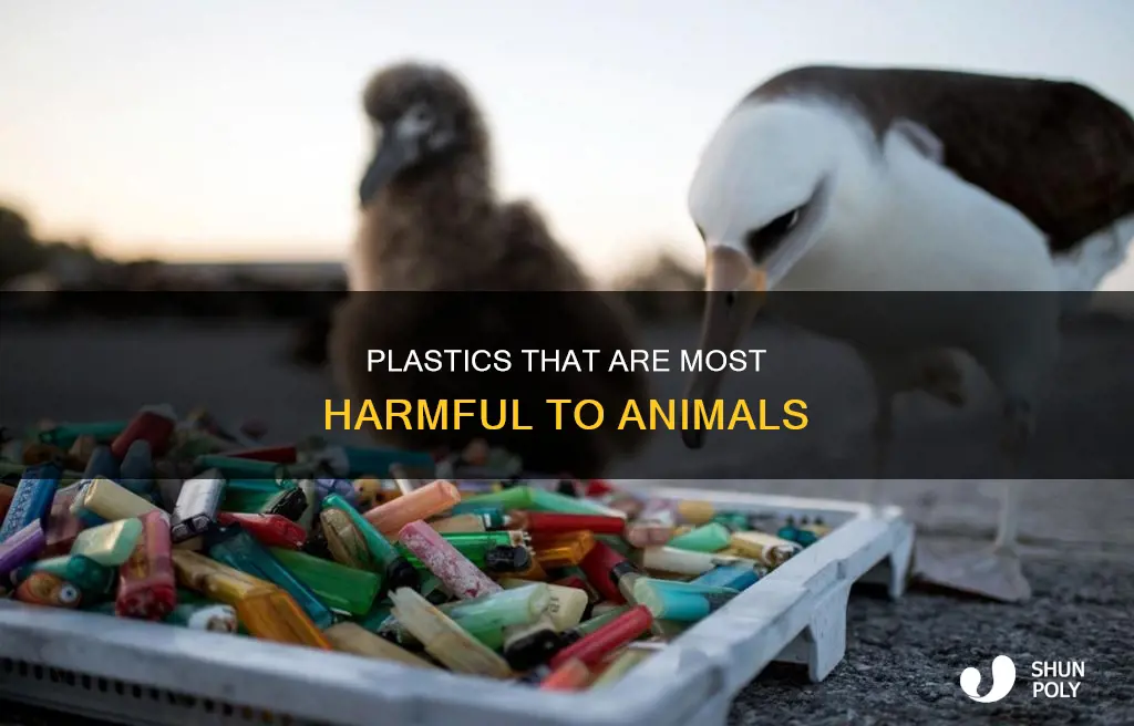what plastics are worst for animals