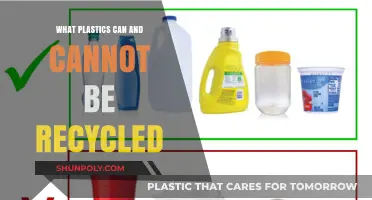 Decoding Recyclables: A Guide to Plastics That Can and Can't Be Recycled