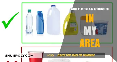 Decoding Recyclable Plastics: A Local Guide for Eco-Friendly Disposal