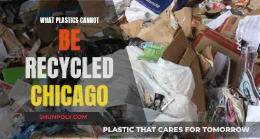 Chicago's Unrecyclable Plastics: What's Not Accepted in the City's Recycling