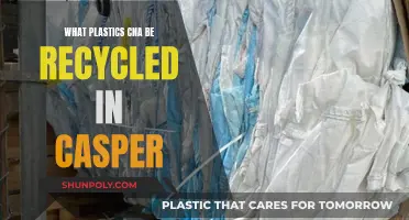 Recycling in Casper: What Plastics Can Be Recycled?