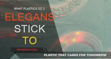 Which Plastics Are Most Adhesive to C. elegans?