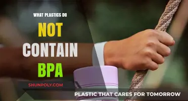 Safe Plastics: BPA-Free Options for a Healthy Life
