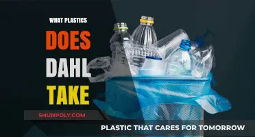 Decoding Dahl's Plastics: A Comprehensive Guide to Accepted Materials
