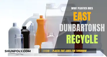 East Dunbartonshire's Plastic Recycling: What's Accepted?