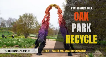 Oak Park's Plastic Recycling: What's Accepted and What's Not