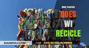 Wisconsin's Recycling Efforts: Which Plastics Make the Cut?