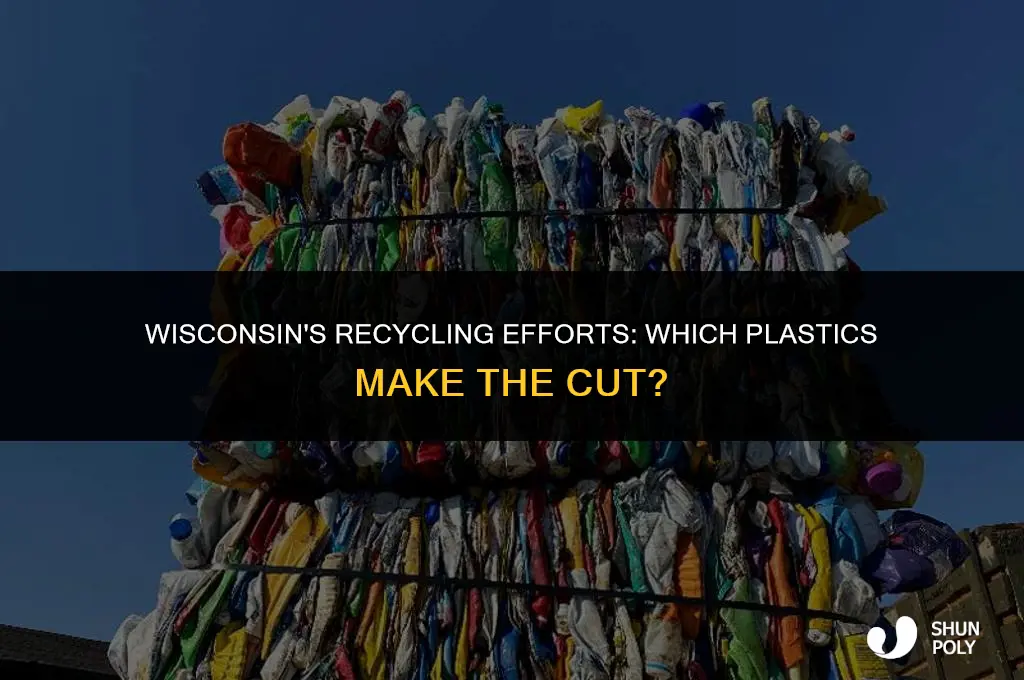what plastics does wi recicle